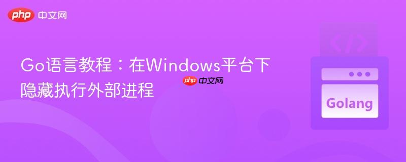 Go语言教程：在Windows平台下隐藏执行外部进程