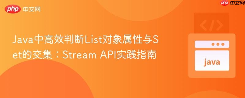 Java中高效判断List对象属性与Set的交集：Stream API实践指南