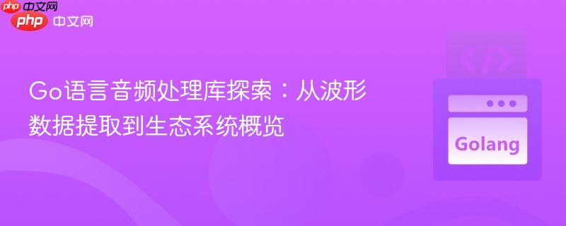 Go语言音频处理库探索：从波形数据提取到生态系统概览