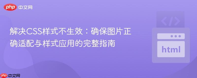 解决CSS样式不生效：确保图片正确适配与样式应用的完整指南
