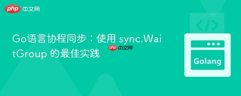 Go语言协程同步：使用 sync.WaitGroup 的最佳实践
