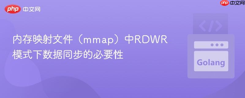 内存映射文件（mmap）中RDWR模式下数据同步的必要性