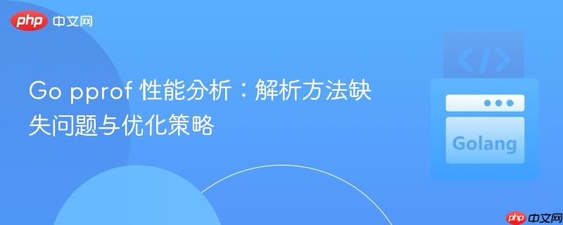 Go pprof 性能分析：解析方法缺失问题与优化策略