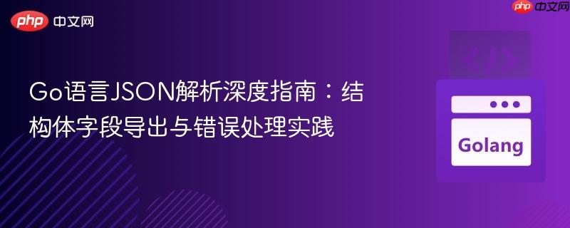 Go语言JSON解析深度指南：结构体字段导出与错误处理实践
