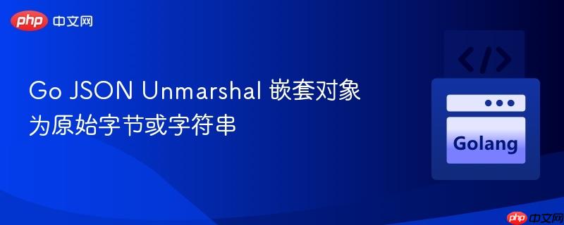 Go JSON Unmarshal 嵌套对象为原始字节或字符串