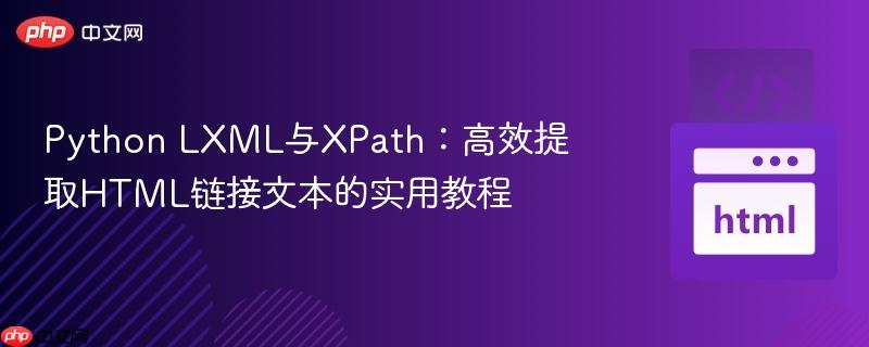 Python LXML与XPath：高效提取HTML链接文本的实用教程