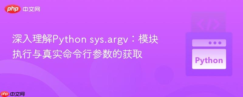 深入理解Python sys.argv：模块执行与真实命令行参数的获取