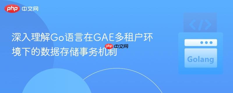 深入理解Go语言在GAE多租户环境下的数据存储事务机制