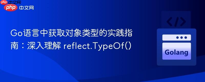 Go语言中获取对象类型的实践指南：深入理解 reflect.TypeOf()