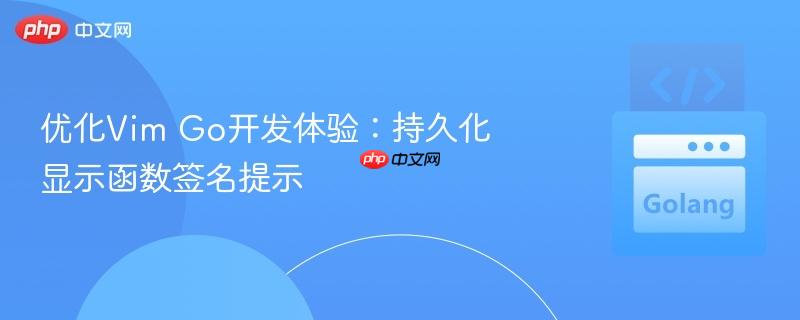 优化Vim Go开发体验：持久化显示函数签名提示