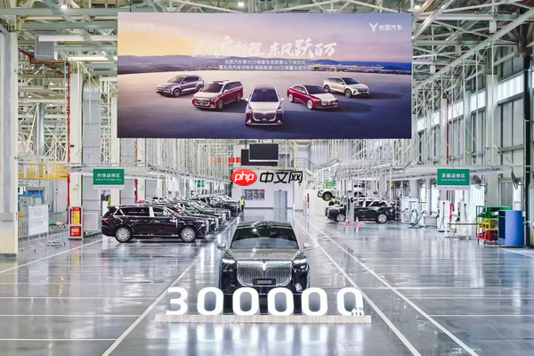 岚图邵明峰——岚图泰山与问界M9共塑华系旗舰新高度