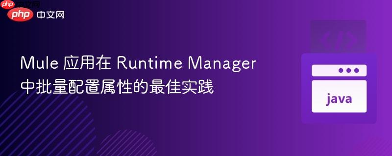 Mule 应用在 Runtime Manager 中批量配置属性的最佳实践