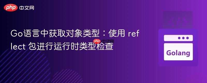 Go语言中获取对象类型：使用 reflect 包进行运行时类型检查