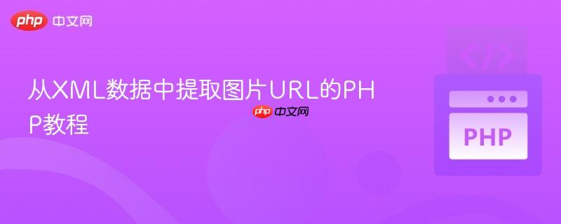 从XML数据中提取图片URL的PHP教程