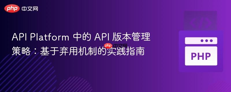 API Platform 中的 API 版本管理策略：基于弃用机制的实践指南