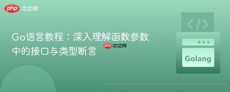 Go语言教程：深入理解函数参数中的接口与类型断言