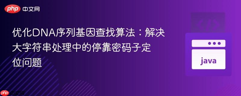 优化DNA序列基因查找算法：解决大字符串处理中的停靠密码子定位问题