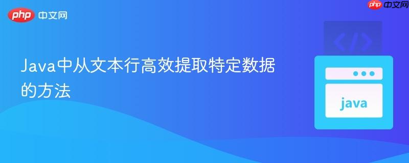 Java中从文本行高效提取特定数据的方法