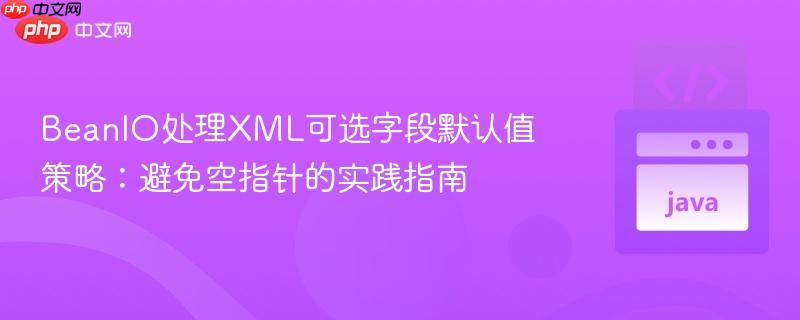 BeanIO处理XML可选字段默认值策略：避免空指针的实践指南