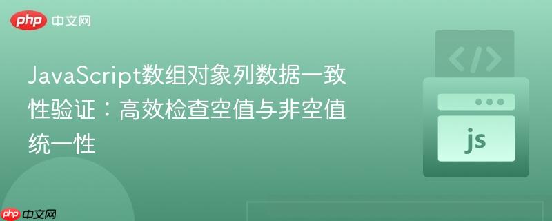 JavaScript数组对象列数据一致性验证：高效检查空值与非空值统一性