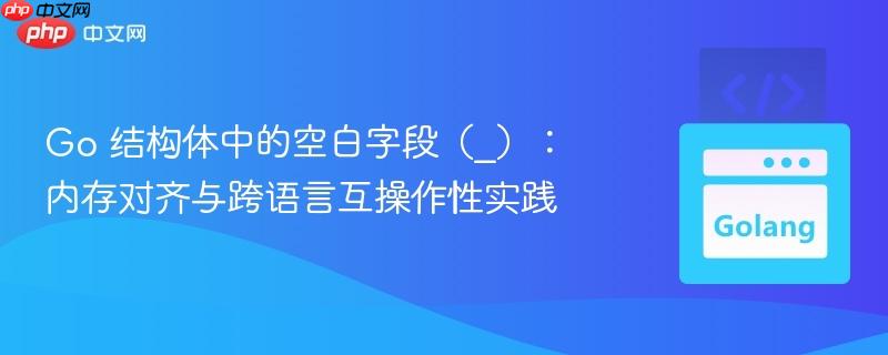 Go 结构体中的空白字段（_）：内存对齐与跨语言互操作性实践