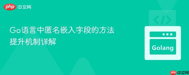 Go语言中匿名嵌入字段的方法提升机制详解