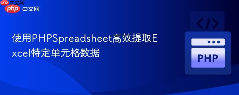 使用phpspreadsheet高效提取excel特定单元格数据