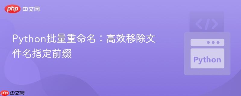 Python批量重命名：高效移除文件名指定前缀