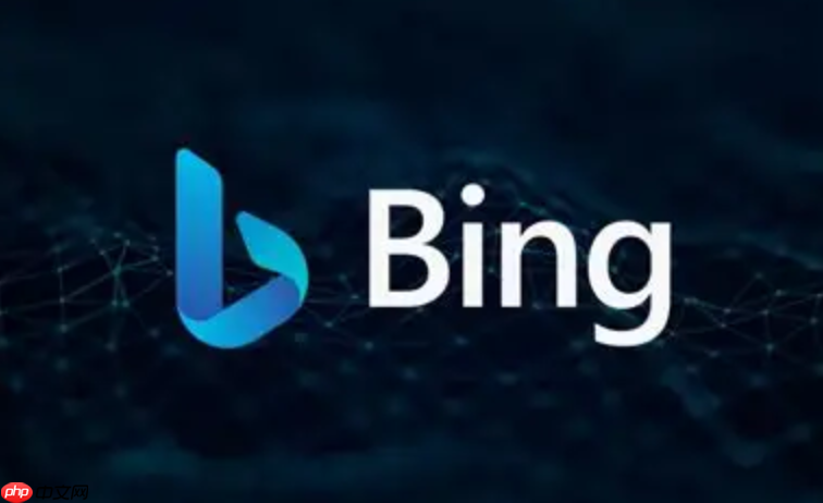 必应bing官网入口网页版 必应网页版国际站访问入口