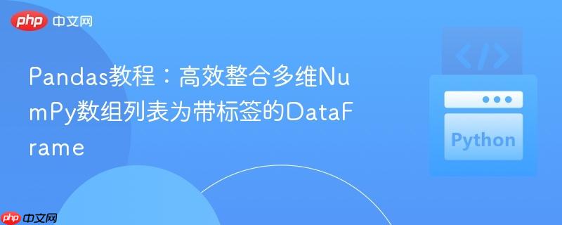 Pandas教程：高效整合多维NumPy数组列表为带标签的DataFrame
