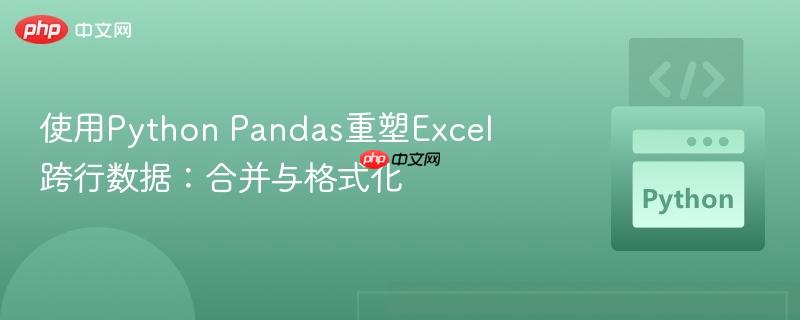 使用Python Pandas重塑Excel跨行数据：合并与格式化