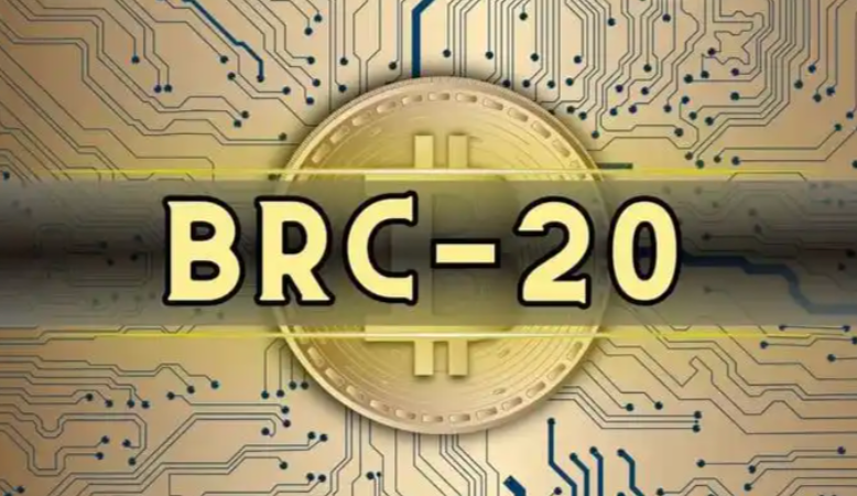BRC-20标准详解：比特币生态的创新与未来潜力 - 创想鸟