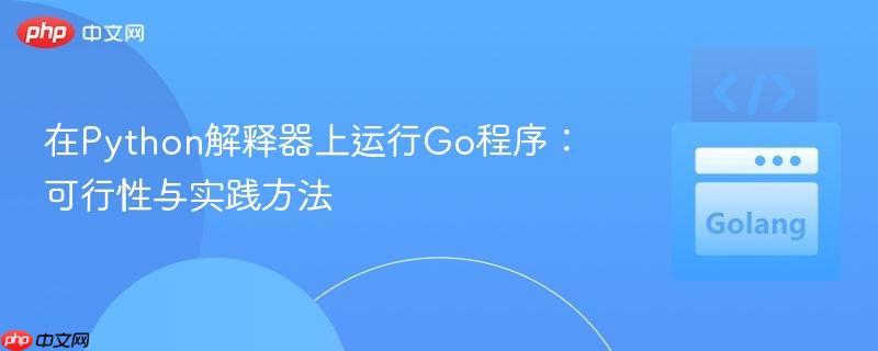 在Python解释器上运行Go程序：可行性与实践方法