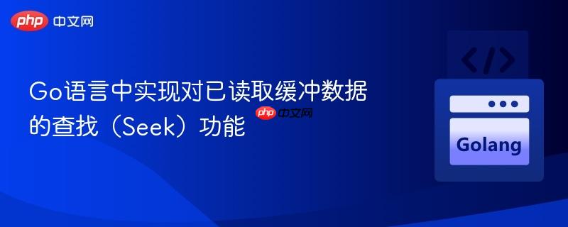 Go语言中实现对已读取缓冲数据的查找（Seek）功能