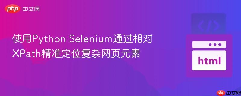 使用Python Selenium通过相对XPath精准定位复杂网页元素