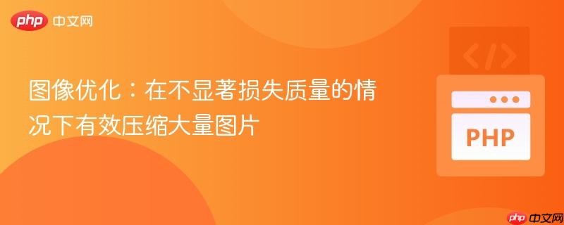 图像优化：在不显著损失质量的情况下有效压缩大量图片