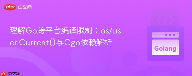 理解Go跨平台编译限制：os/user.Current()与Cgo依赖解析