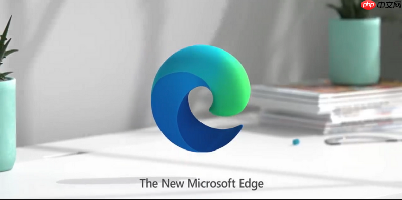 edge浏览器怎么启用或禁用JavaScript_Edge脚本运行权限设置