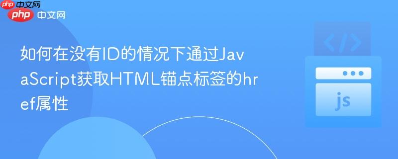 如何在没有ID的情况下通过JavaScript获取HTML锚点标签的href属性