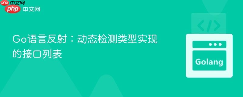 Go语言反射：动态检测类型实现的接口列表