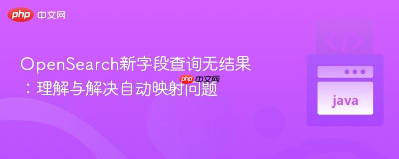OpenSearch新字段查询无结果：理解与解决自动映射问题