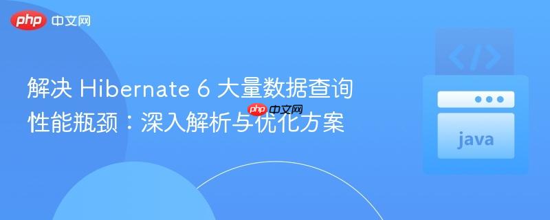解决 Hibernate 6 大量数据查询性能瓶颈：深入解析与优化方案