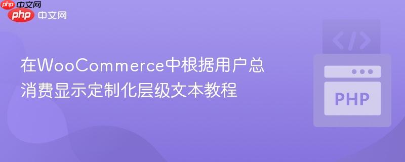 在WooCommerce中根据用户总消费显示定制化层级文本教程
