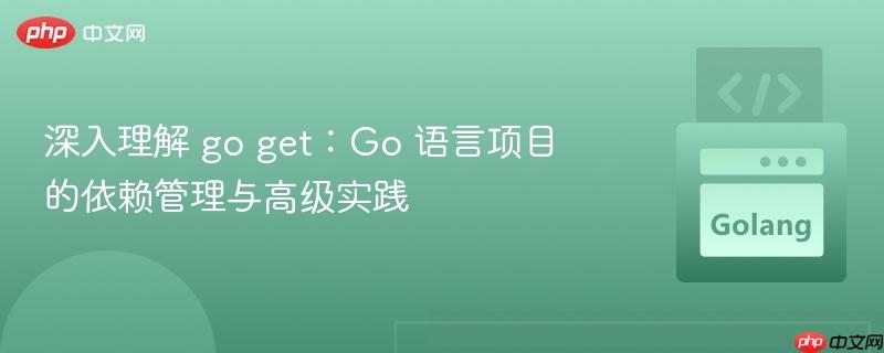 深入理解 go get：Go 语言项目的依赖管理与高级实践