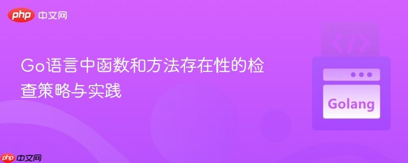 Go语言中函数和方法存在性的检查策略与实践