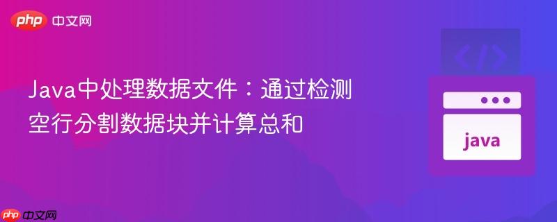 Java中处理数据文件：通过检测空行分割数据块并计算总和
