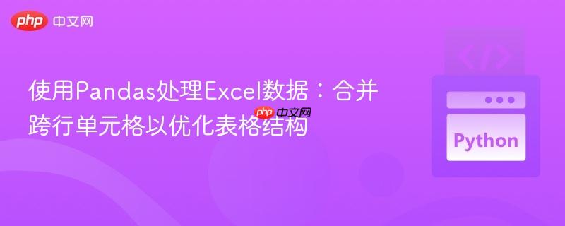 使用Pandas处理Excel数据：合并跨行单元格以优化表格结构