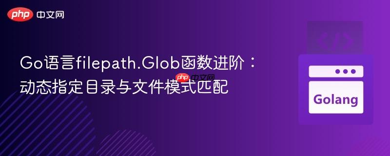 Go语言filepath.Glob函数进阶：动态指定目录与文件模式匹配