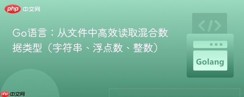 Go语言：从文件中高效读取混合数据类型（字符串、浮点数、整数）