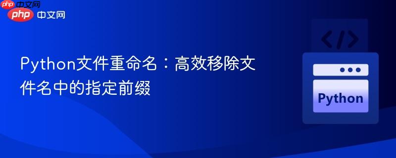 Python文件重命名：高效移除文件名中的指定前缀